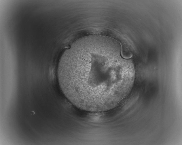 X0000102390131200808081235