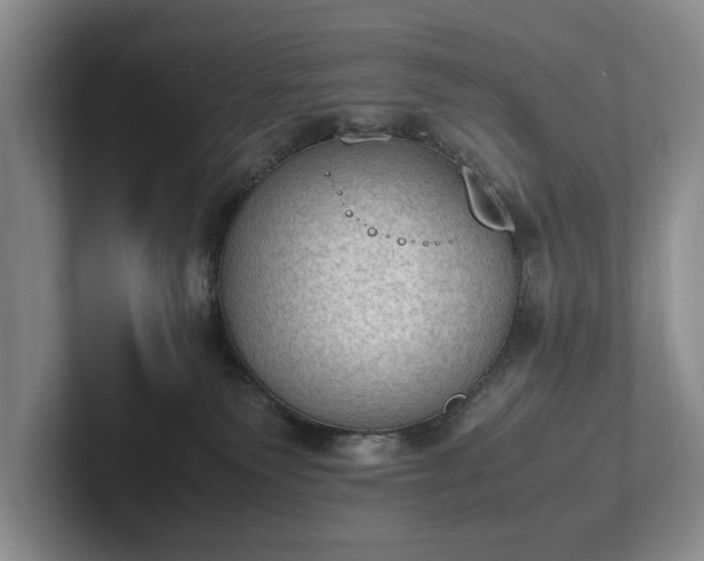 X0000102390135200808081235