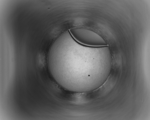 X0000102390136200808081235