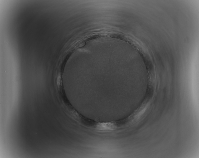 X0000102390137200808081235