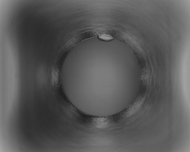 X0000102390139200808081235