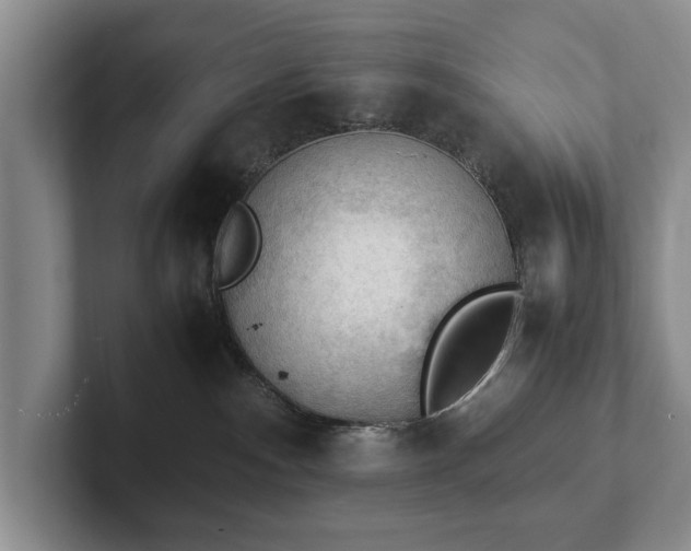 X0000102390140200808081235