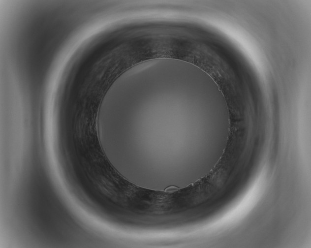 X0000102390143200808081235