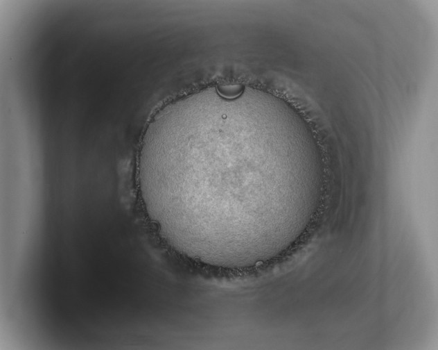 X0000102390144200808081235