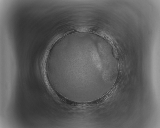 X0000102390145200808081234