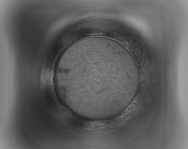 X0000102390146200808081234