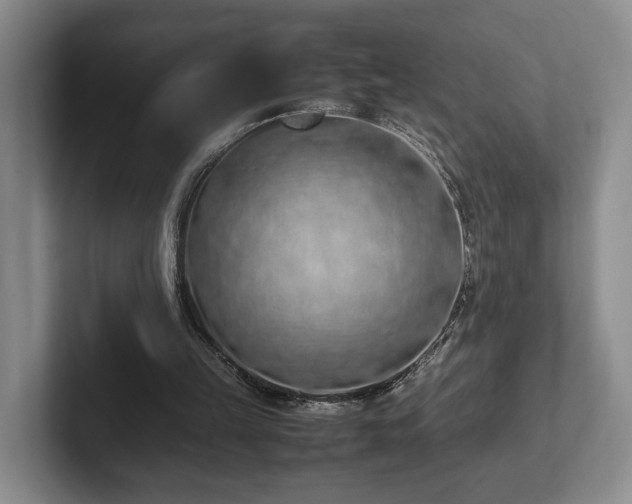 X0000102390149200808081234