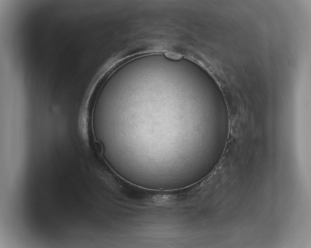 X0000102390152200808081234