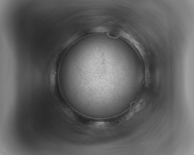 X0000102390153200808081234