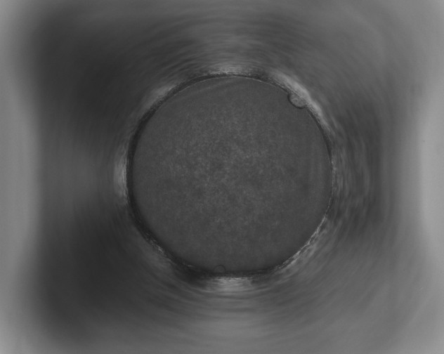 X0000102390154200808081234