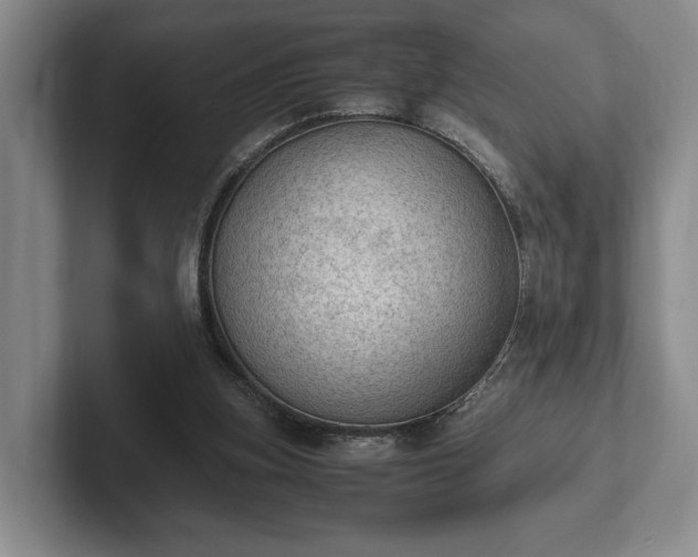 X0000102390155200808081234