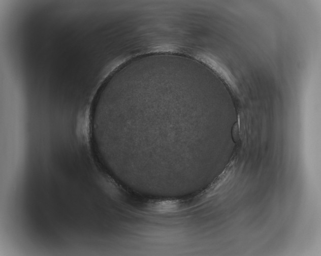 X0000102390156200808081234