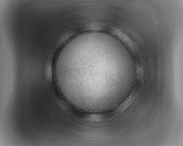 X0000102390158200808081234