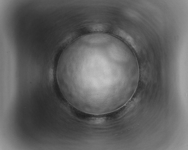 X0000102390161200808081234