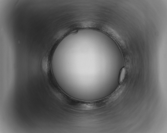 X0000102390164200808081234