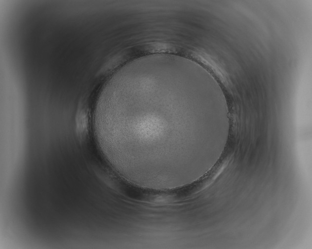 X0000102390165200808081234