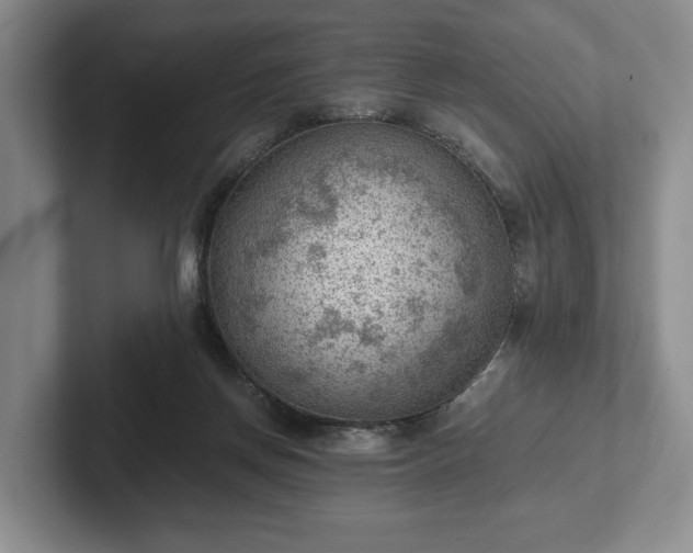 X0000102390166200808081234