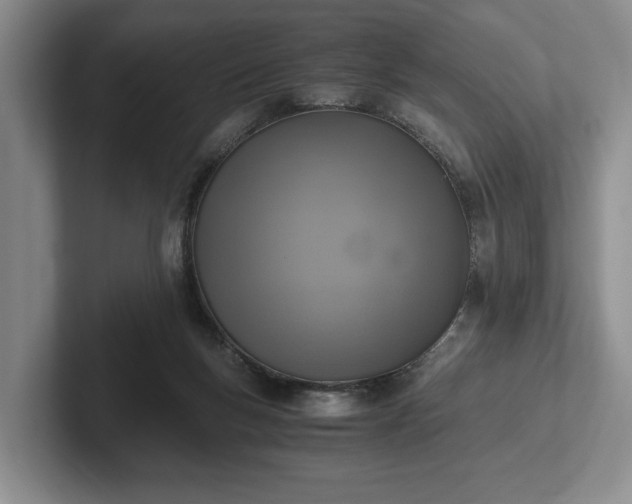 X0000102390167200808081234