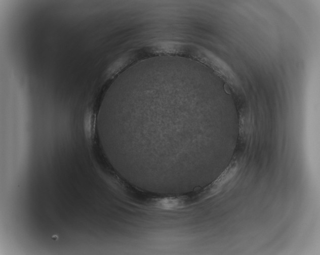 X0000102390168200808081235