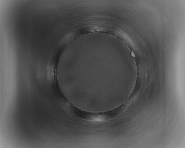 X0000102390169200808081235