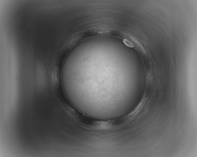 X0000102390170200808081235