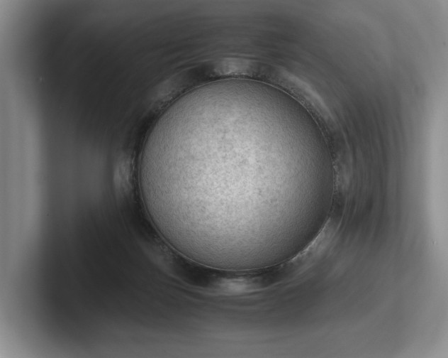 X0000102390171200808081235