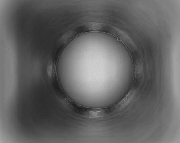 X0000102390172200808081235