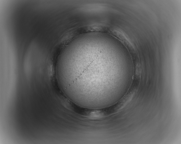 X0000102390173200808081235