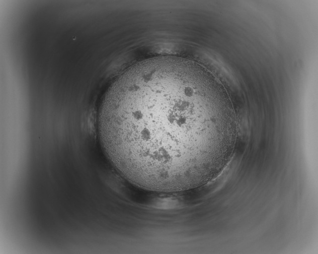 X0000102390175200808081235