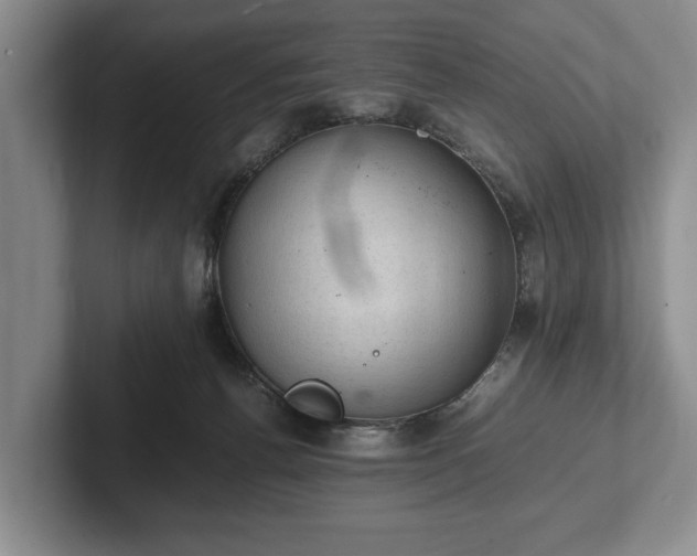 X0000102390176200808081235