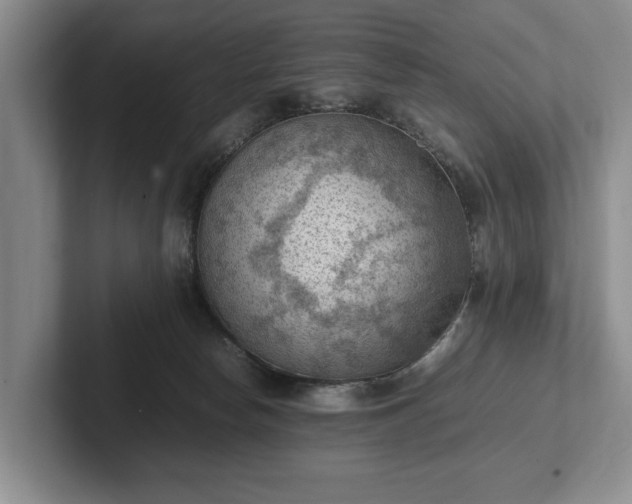 X0000102390178200808081235