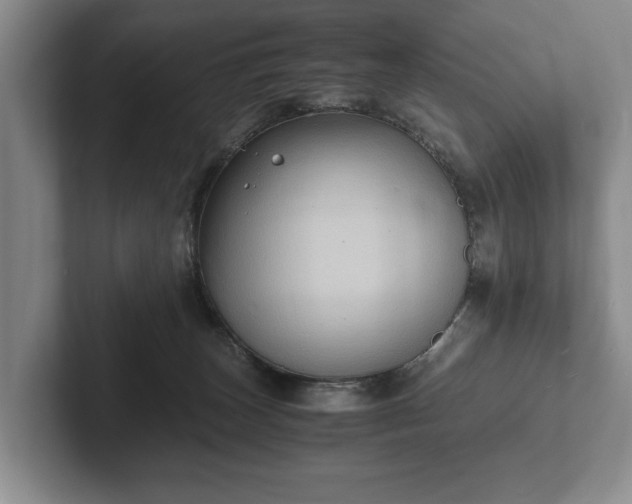 X0000102390179200808081235