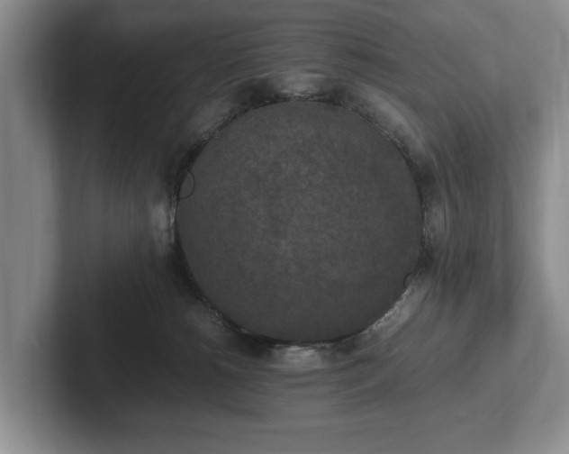 X0000102390180200808081235