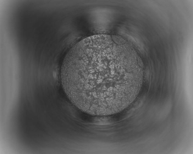 X0000102390181200808081235