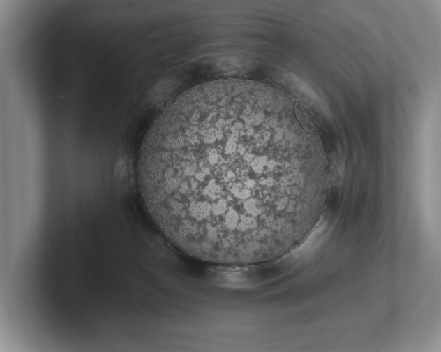 X0000102390182200808081235