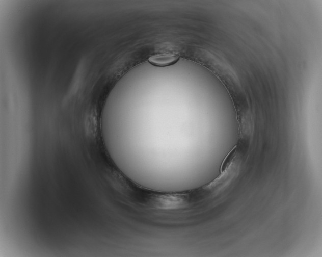 X0000102390183200808081235