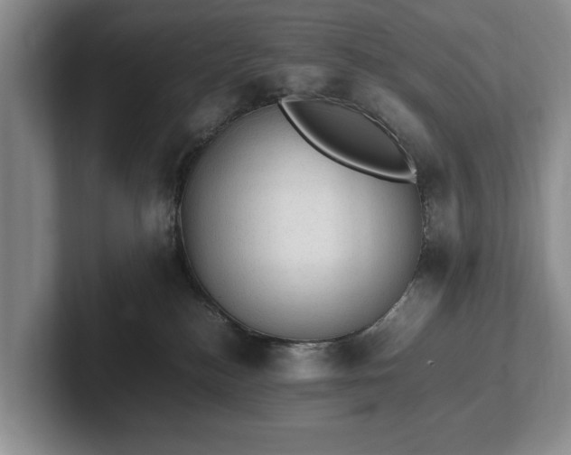 X0000102390184200808081235