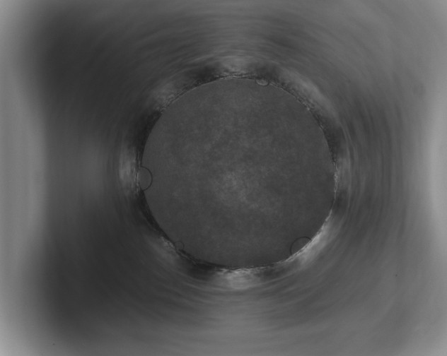 X0000102390186200808081235