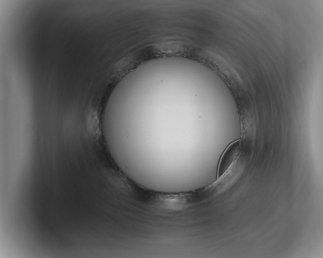 X0000102390187200808081235