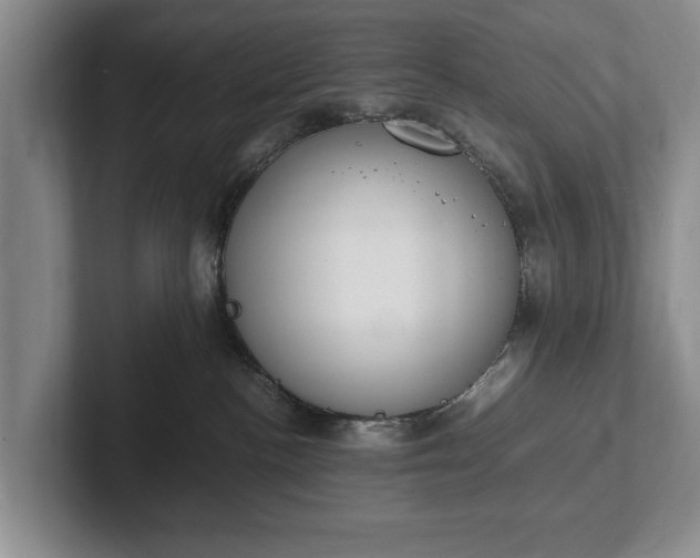 X0000102390188200808081235