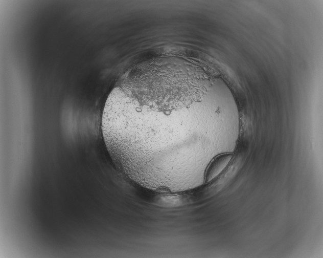 X0000102390189200808081235