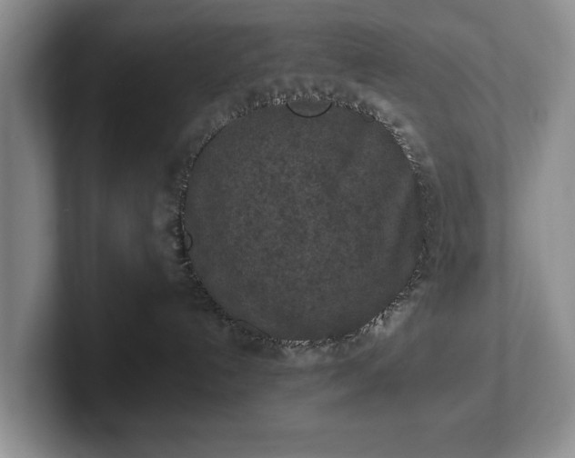 X0000102390192200808081235