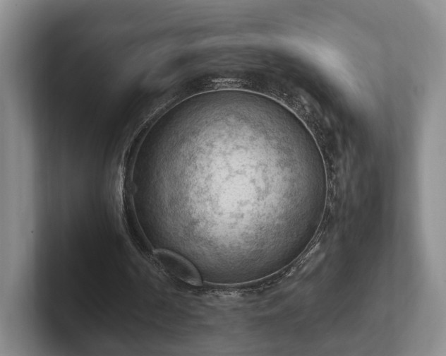 X0000102390194200808081234