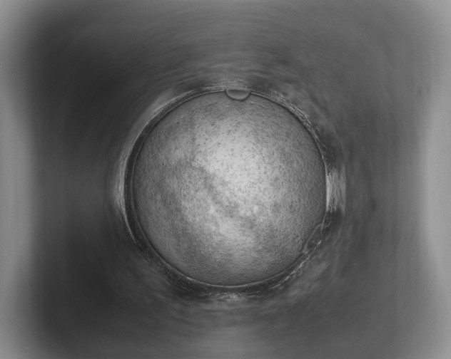 X0000102390195200808081234