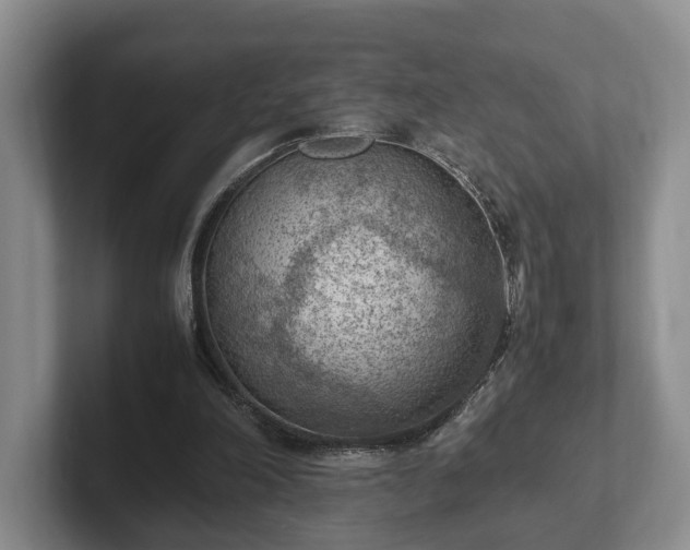 X0000102390198200808081234