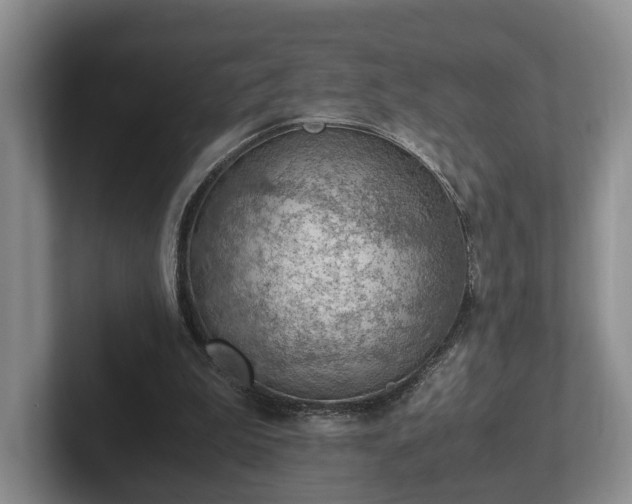 X0000102390199200808081234