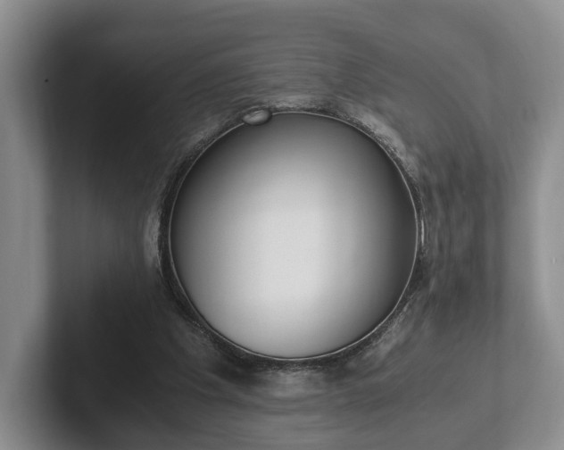 X0000102390201200808081234