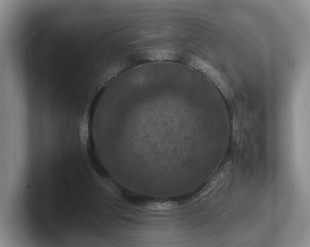 X0000102390202200808081234