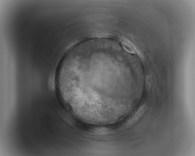 X0000102390203200808081234