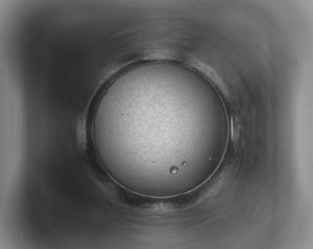 X0000102390204200808081234